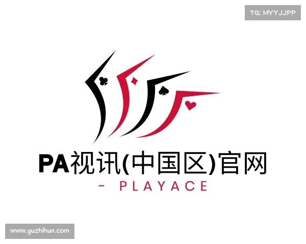 认识PA视讯(中国区)官网 - PlayAce